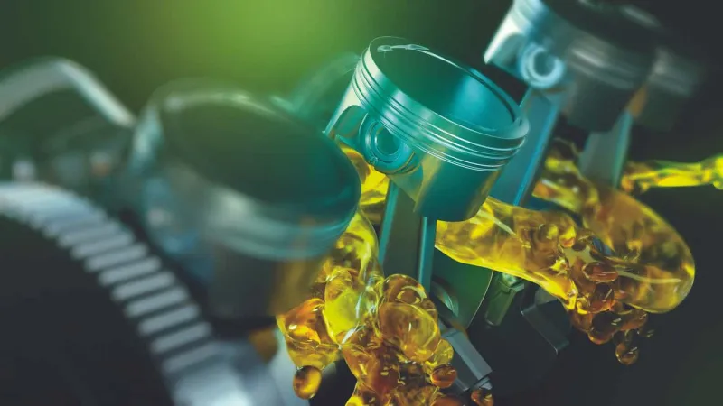 Petronas'tan tatile çıkacaklar için tavsiyeler!